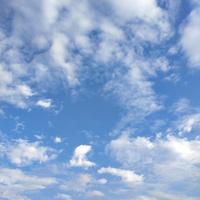 一只小雯子2Z8L头像