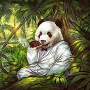 用户2492815826632的个人资料头像