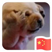 demolish东的个人资料头像