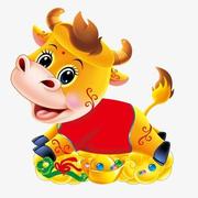 Steven2619的个人资料头像