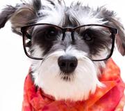 龙_川0520的个人资料头像