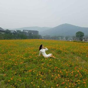 JIE153424902头像
