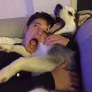 Chuck123的个人资料头像