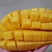 大雄不是熊二大头像