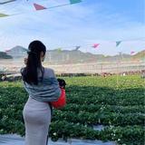 销量绕球百圈雅迪车主头像