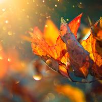 好奇凌源8T4头像