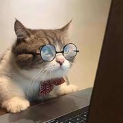 蓝桉释怀的个人资料头像