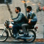 大熊的个人资料头像