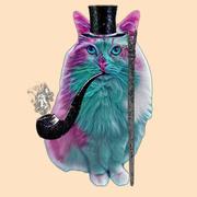 用户7118103810157的个人资料头像