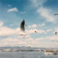 亿杯敬过往头像