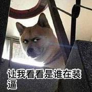 天才王一一的个人资料头像