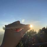 温热的奶茶2头像