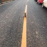 花开花落几春风4136头像