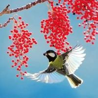 热情的暖阳s头像