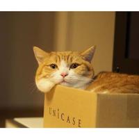 夏末烟雨122头像