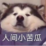 用户2253962511174头像