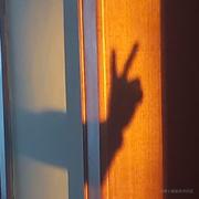 明年毕业的迷路人的个人资料头像