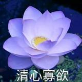 所有事到最后都是好事头像