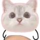 猪有蹄🐷头像