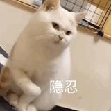 zxsugl丶头像