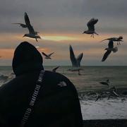 Clc的个人资料头像