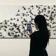 1Pnk_的个人资料头像