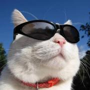 小陈的技术笔记的个人资料头像