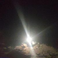 我叫王庭轩头像