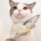 不学习就等死吧的个人资料头像