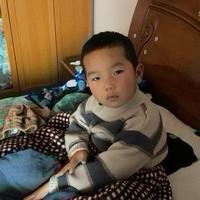 瓦尓啊头像