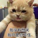 中意她的个人资料头像