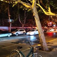 木啊他怕鲁特头像