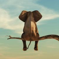 河妖戏宝塔555头像