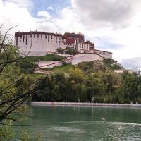用户5233912214655头像