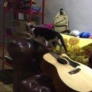 姑苏哥哥的个人资料头像