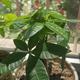 张先生还在努力 · 瑞虎3x车主·车龄6年头像