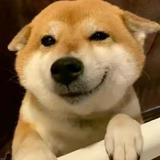 手指尖的光头像