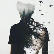 枫叶林c的个人资料头像