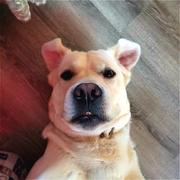 TryTryTry的个人资料头像