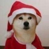 C哩C哩头像