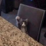 熹微信头像