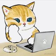 前端努力的小白的个人资料头像