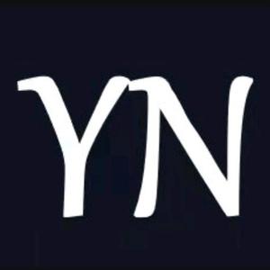 YN宠物头像