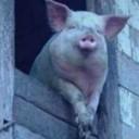 钱途无梁的个人资料头像