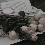 昙花久放头像