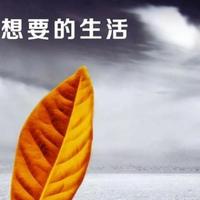 87年的—大叔头像