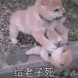 丰华秋绝艳而不实头像