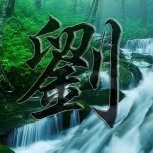 农民收藏家老刘（大师兄）头像