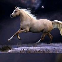 用户4303876140999头像