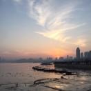 紫阳的个人资料头像